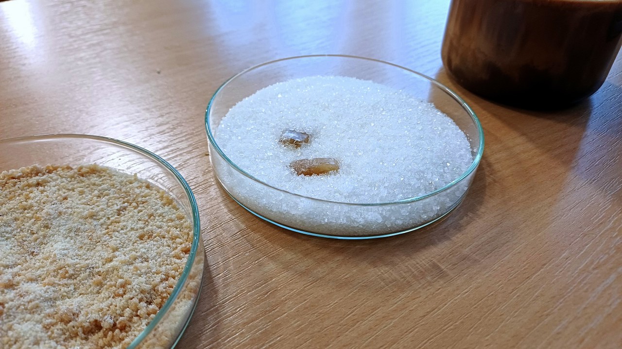 Prepájanie vzdelávania s praxou